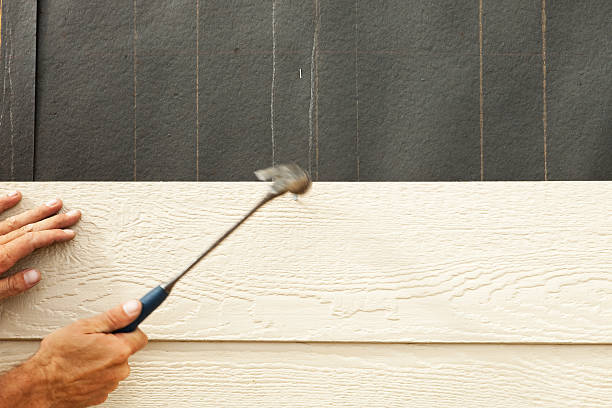 Best Brick Veneer Siding  in Mount Hope, WV